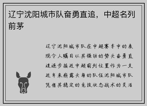 辽宁沈阳城市队奋勇直追，中超名列前茅