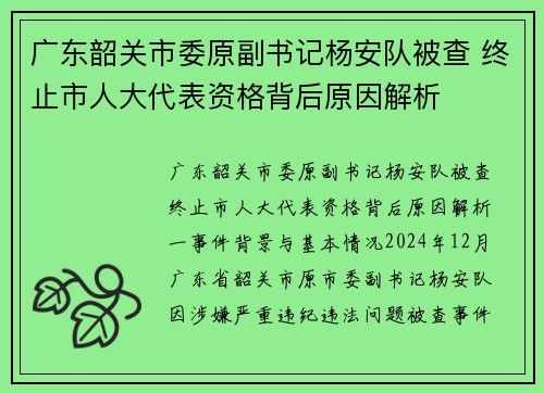 广东韶关市委原副书记杨安队被查 终止市人大代表资格背后原因解析